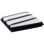 PARTS PLUS AF7907 Engine Air Filter