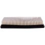 PARTS PLUS AF7917 Engine Air Filter