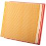 PARTS PLUS AF7936 Engine Air Filter
