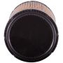 PARTS PLUS AF7981 Engine Air Filter