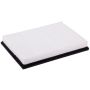 PARTS PLUS AF8248 Engine Air Filter