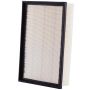 PARTS PLUS AF99001 Engine Air Filter