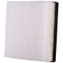 PARTS PLUS AF99002 Engine Air Filter
