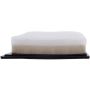 PARTS PLUS AF99160 Engine Air Filter