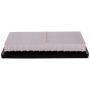 PARTS PLUS AF99365 Engine Air Filter
