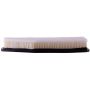 PARTS PLUS AF99487 Engine Air Filter