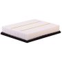 PARTS PLUS AF99491 Engine Air Filter