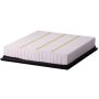 PARTS PLUS AF99534 Engine Air Filter