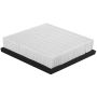 PARTS PLUS AF9970 Engine Air Filter