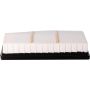 PARTS PLUS AF99819 Engine Air Filter
