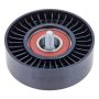 INA FP05581 INA BDC FEAD pulley