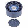 INA FP08731 INA BDC FEAD tensioner pulley