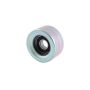 INA FT0590 INA BDC FEAD pulley