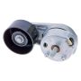 INA FT05971 INA BDC FEAD tensioner