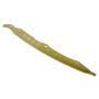 INA ZG0266 Audi A4 14-16, Q5 14-16; Volkswagen Jetta 14-16, Passat 14-16, Tiguan 14-16