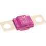 Genuine OEM Fuse 000000000316