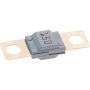 Genuine OEM 000000006620 Fuse