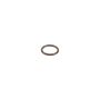 Genuine OEM Seal Ring 0189979045