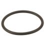 Genuine OEM Intercooler O-Ring 0249978645