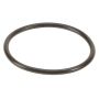 Genuine OEM Oil Filter O-Ring 0289971548