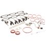 Genuine OEM Fuel Injector Kit 06160RLV305