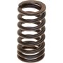 Genuine OEM Valve Spring 06E109623AB