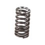 Genuine OEM Valve Spring 06E109623H