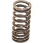 Genuine OEM Valve Spring 06F109623
