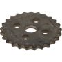 Genuine OEM Timing Sprocket 079109570AP