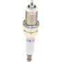 Genuine OEM Spark Plug 101905600C