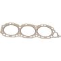 Genuine OEM Cylinder Head Gasket 110447B000