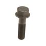 Genuine OEM Crankshaft Pulley Bolt 11231736585