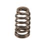 Genuine OEM Valve Spring 11347562716