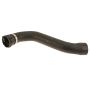Genuine OEM Radiator Hose 11531406766