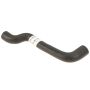 Genuine OEM Expansion Tank Hose 11531407451