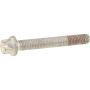 Genuine OEM Cylinder Head Bolt 11589328