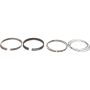 Genuine OEM Piston Ring Set 130110H010
