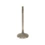 Genuine OEM Intake Valve 132014W001