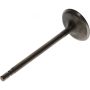 Genuine OEM Intake Valve 132015JJ0A