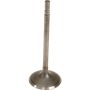 Genuine OEM Intake Valve 132019FP0A