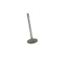 Genuine OEM Intake Valve 13201AA082