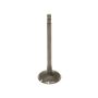 Genuine OEM Exhaust Valve 132028J10A