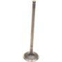 Genuine OEM Exhaust Valve 13202AA371