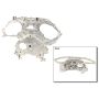 Genuine OEM Timing Cover 13500JP00C