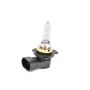 Genuine OEM Light Bulb 13579204