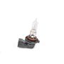 Genuine OEM Light Bulb 13589425
