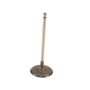 Genuine OEM Intake Valve 137110P010