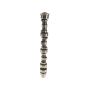 Genuine OEM 14100RGMA00 Camshaft