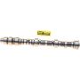 Genuine OEM 14100RGWA02 Camshaft