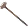 Genuine OEM Exhaust Valve 14721R44A00